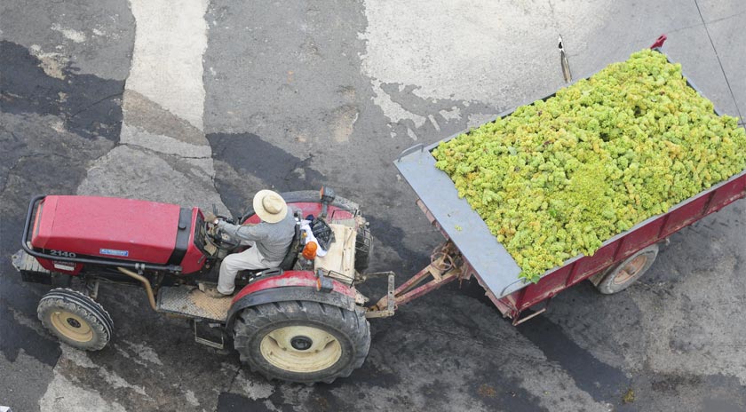 Agrícola de Bràfim