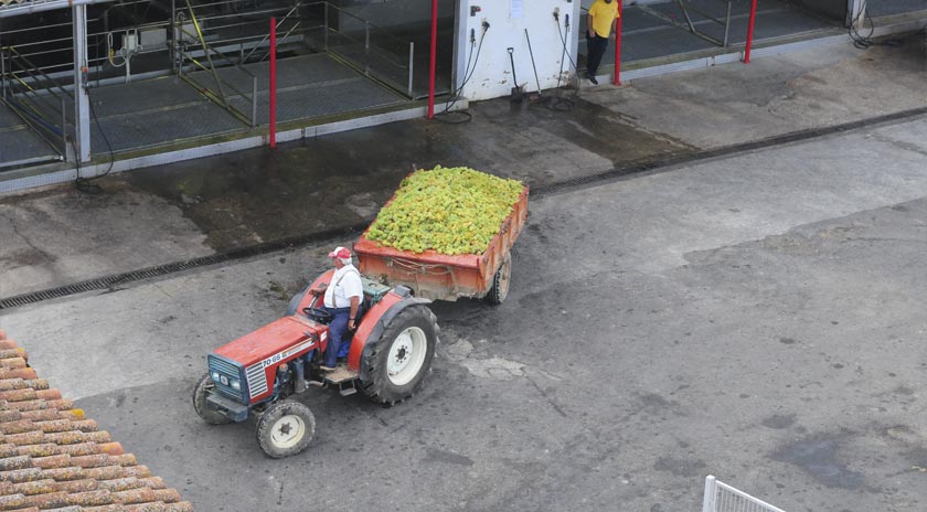 Agrícola de Bràfim