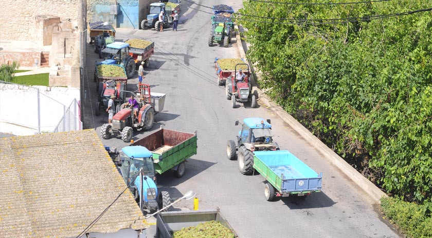 Agrícola de Bràfim