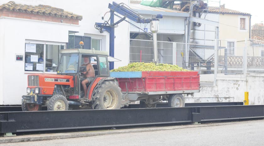 Agrícola de Bràfim